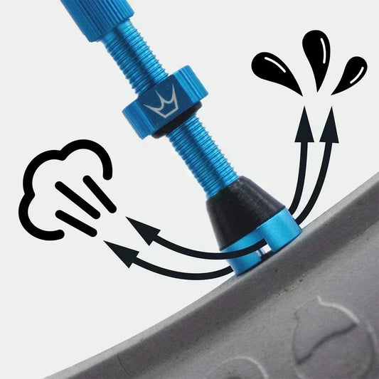 TLR Bicycle  Juicy Nipple Fillmore Tubeless Bike Tire Valves Valve Cap Presta  Repair Tool Kit